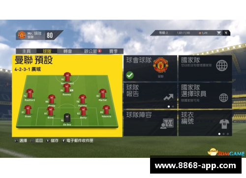 全方位解析：职业足球球员的生涯轨迹与成就探究